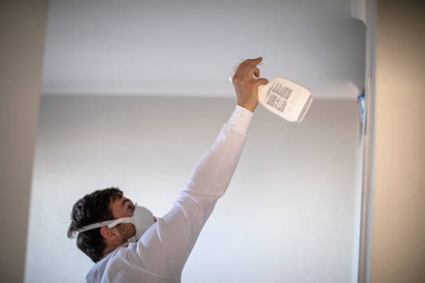Best Crawl Space Mold Remediation in Mead Valley, CA