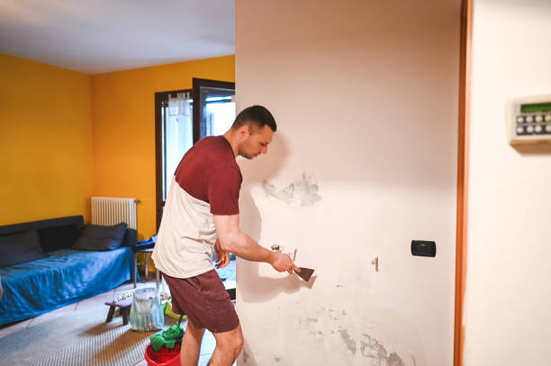 Best Emergency Mold Remediation in Mead Valley, CA